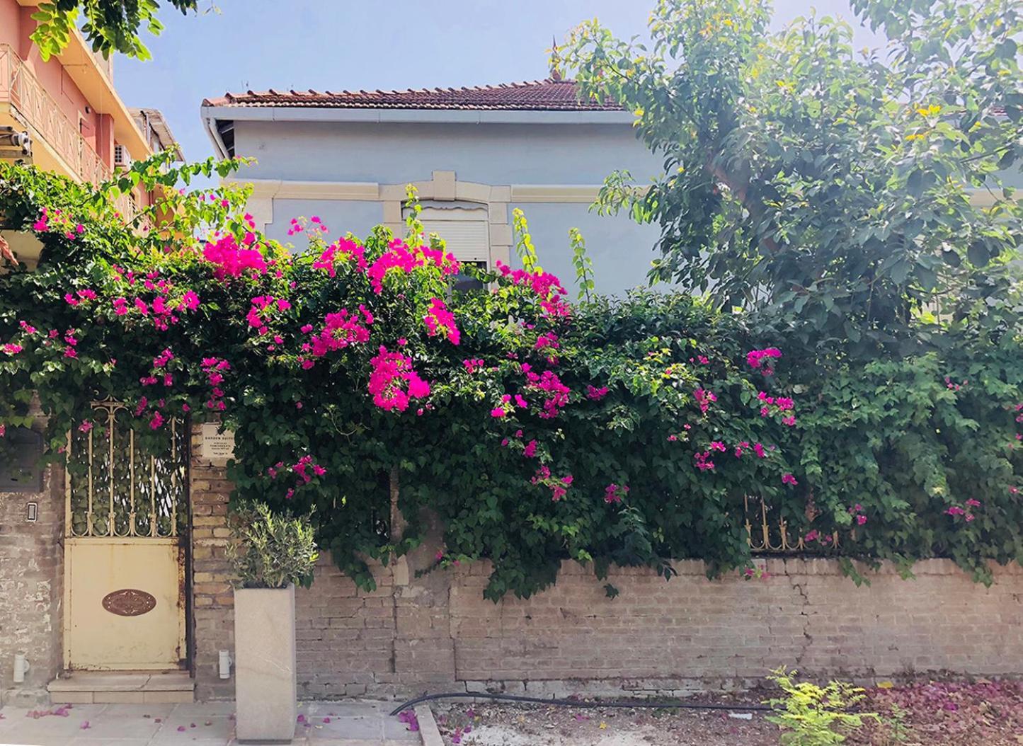 Garden Suites Corfu  Ngoại thất bức ảnh